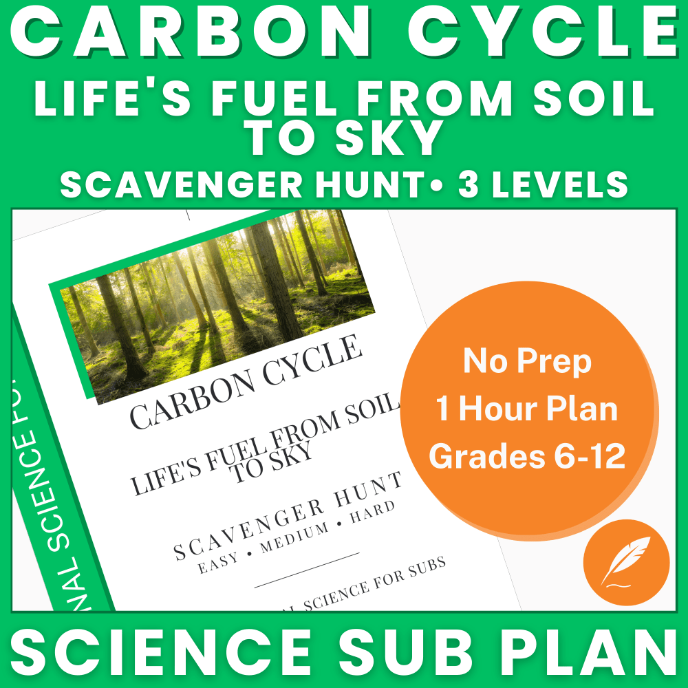 Carbon Cycle - Scavenger Hunt Lesson Plan