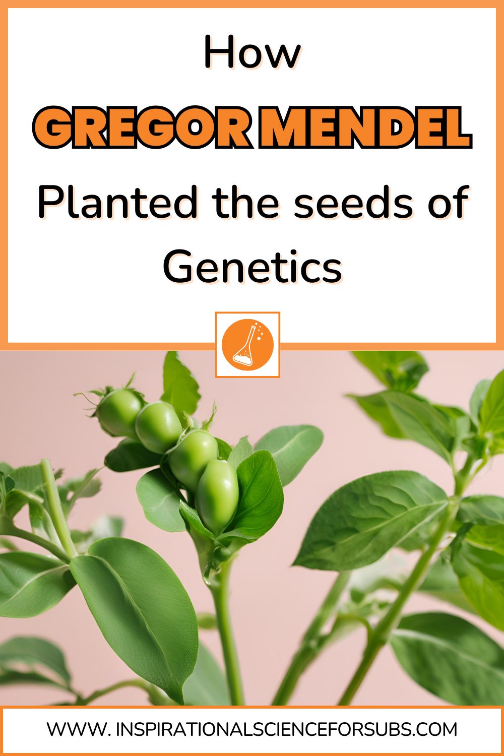 How Gregor Mendel Planted the Seeds of Genetics Gregor Mendel's Garden Planting the Seeds of Genetics