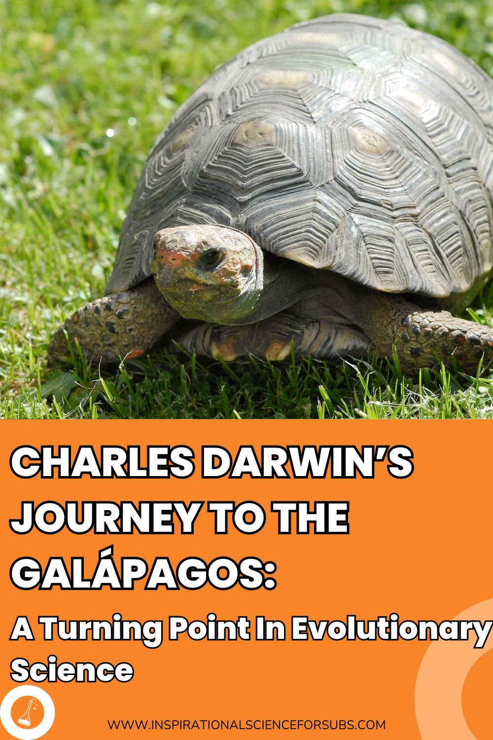 Charles Darwin´s Journey To The Galápagos a Turning Point in Evolutionary Science